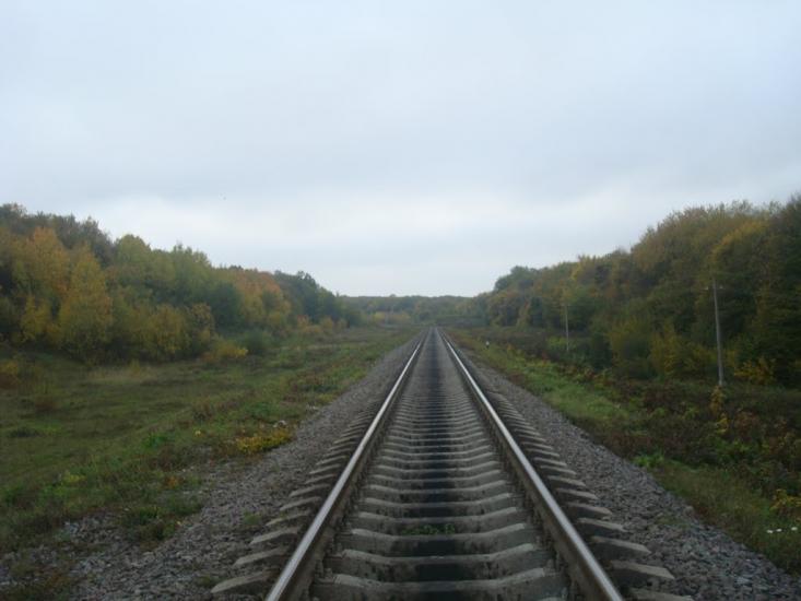Буйволівці з panoramio.com - Буйволовцы