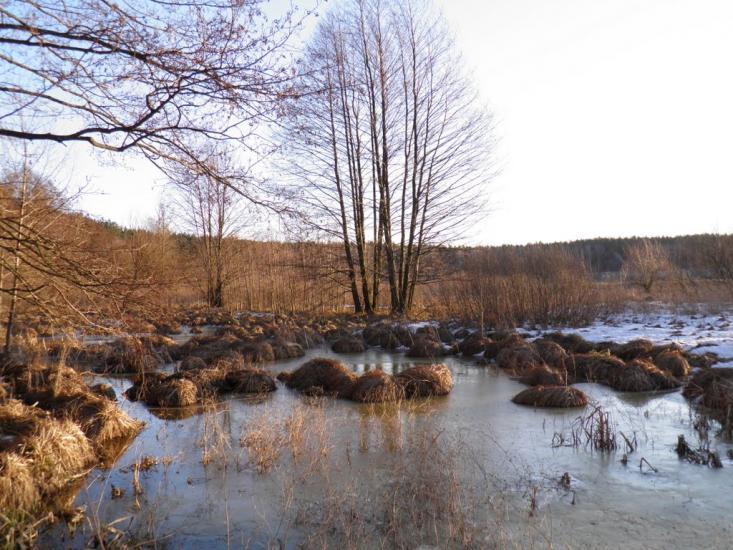 Єньків з panoramio.com - Еньков