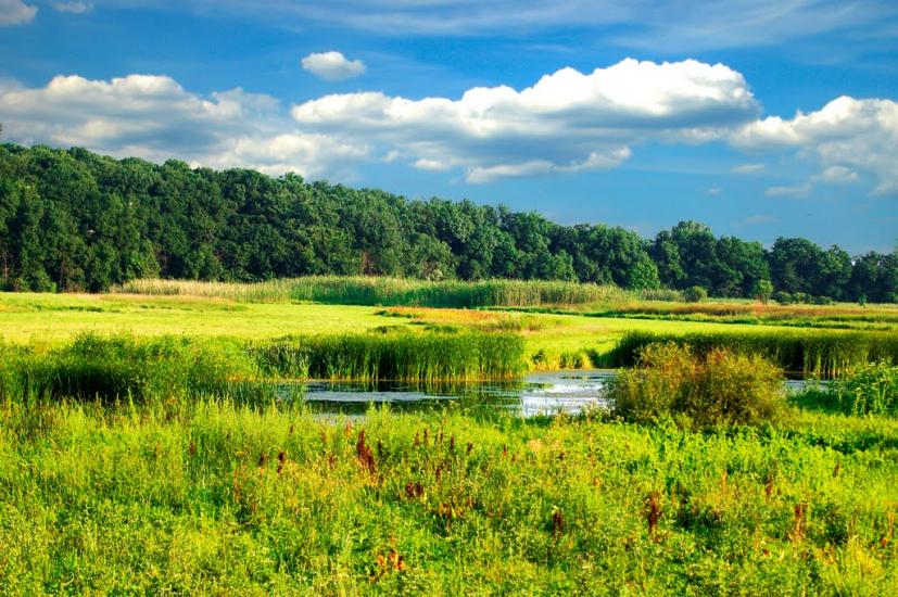 Коновалівка з panoramio.com - Коновалівка