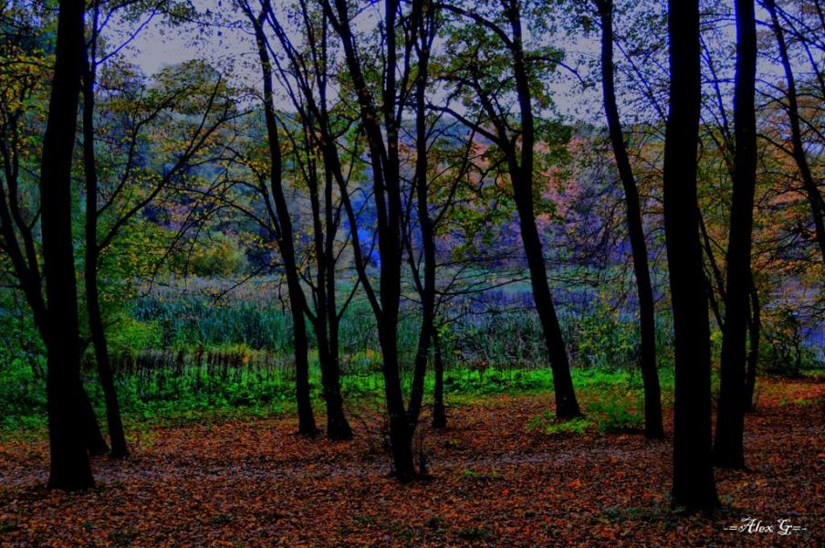 Новосілки з panoramio.com - Новоселки