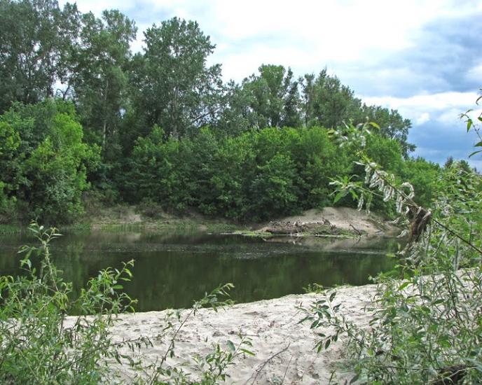 Кардашівка з panoramio.com - Кардашовка