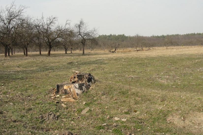 Бодячів з panoramio.com - Бодячев