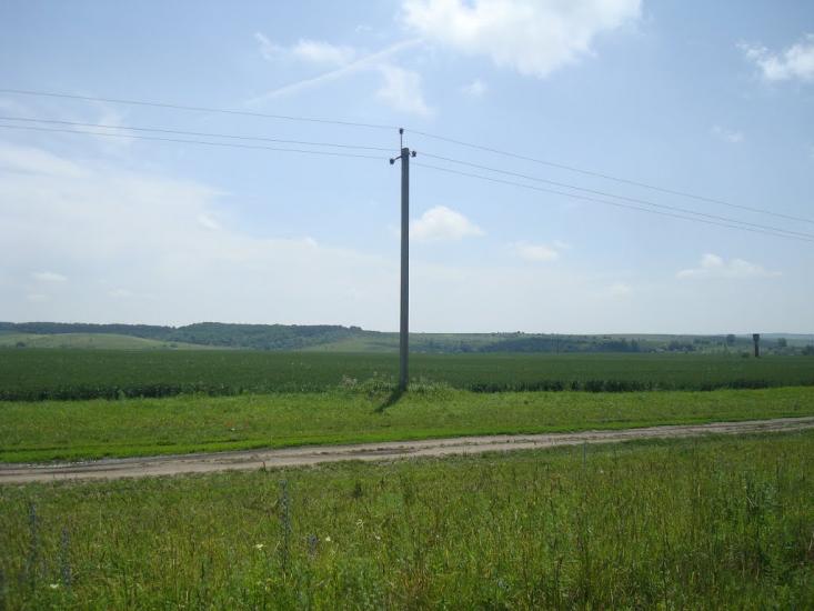 Черепова з panoramio.com - Черепова