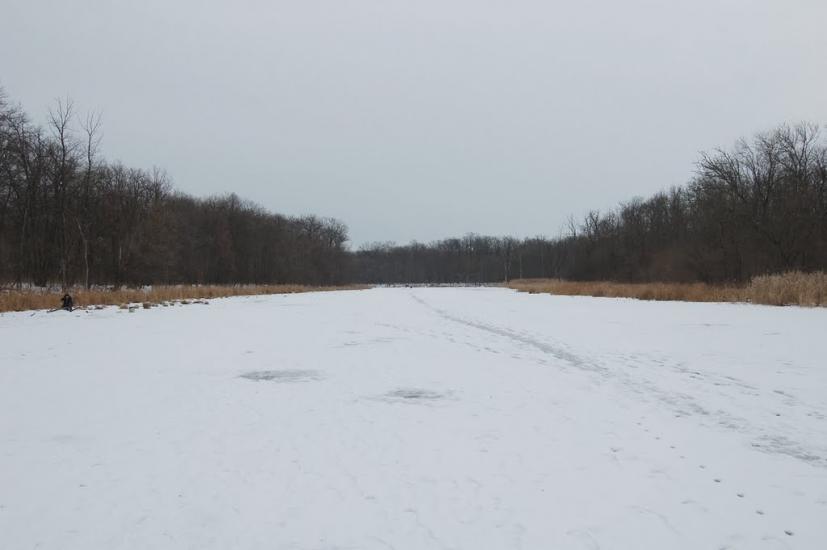 Дронівка з panoramio.com - Dronivka