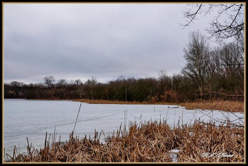 Привілля з panoramio.com - Приволье