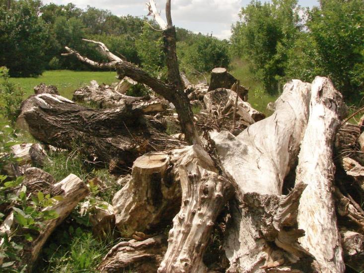 Новий Донбас з panoramio.com - Novyy Donbas