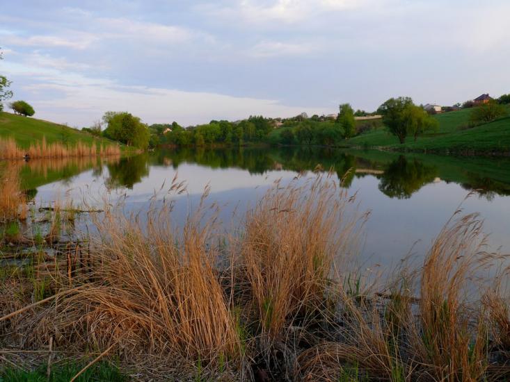 Рогань з panoramio.com - Рогань