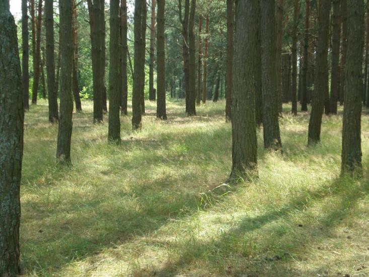 Любохини з panoramio.com - Любохини