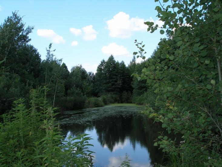 Мошни з panoramio.com - Мошны