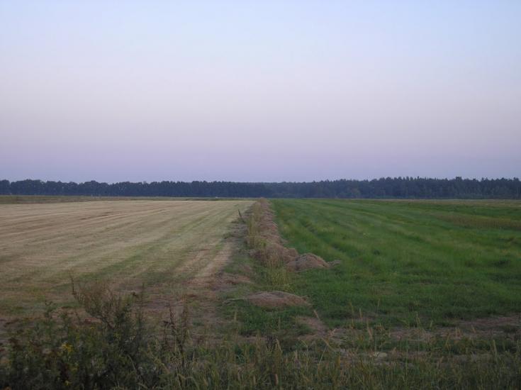 Малютянка з panoramio.com - Малютянка