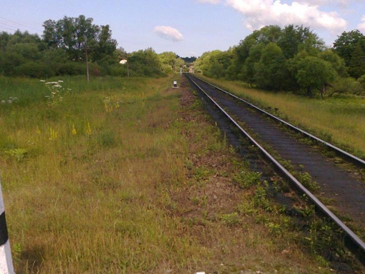 Давидів з panoramio.com - Давыдов