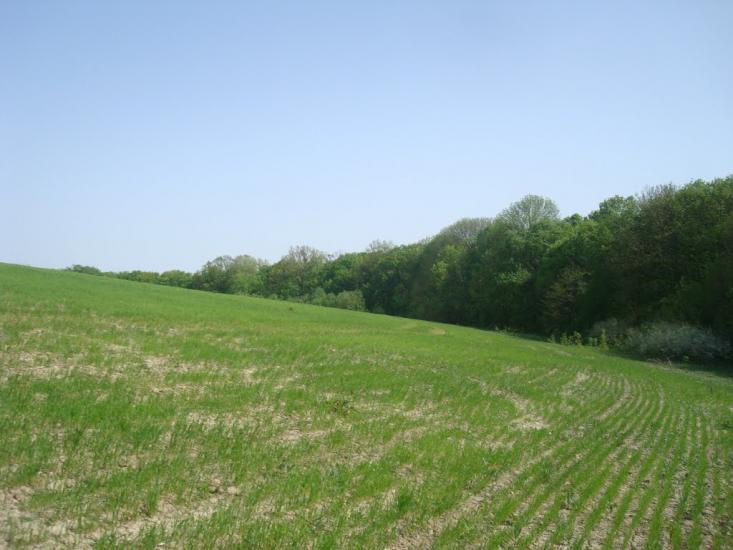 Любомирівка з panoramio.com - Любомировка