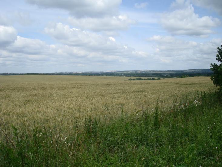 Копистин з panoramio.com - Kopystyn