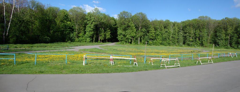 Бездрик з panoramio.com - Бездрик
