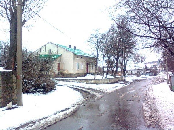 Мишковичі з panoramio.com - Мишковичі