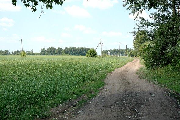 Червоний Степ з panoramio.com - Червоная Степь