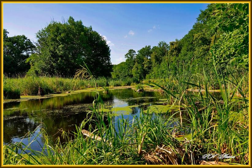 Дронівка з panoramio.com - Dronivka
