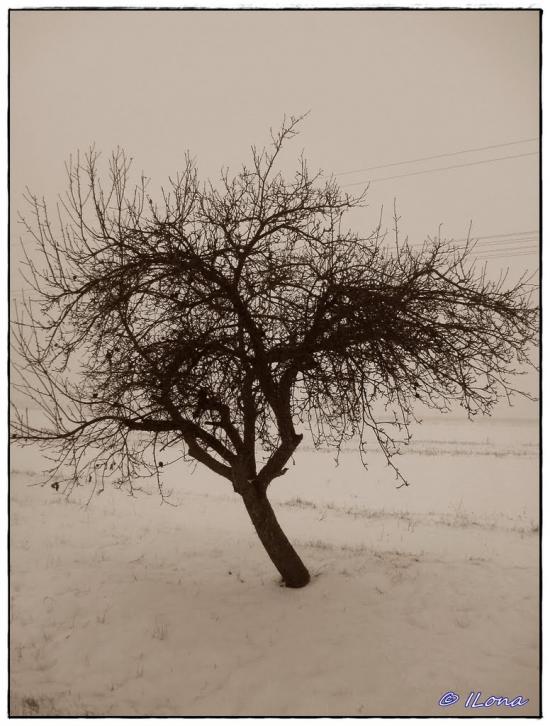 Дерцен з panoramio.com - Дерцен