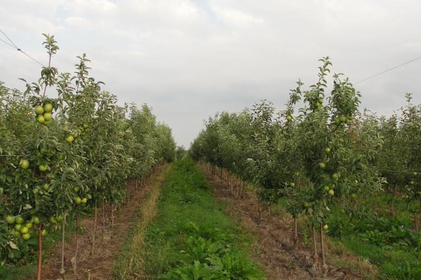 Гать з panoramio.com - Гать