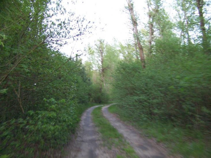Кривуші з panoramio.com - Кривуші