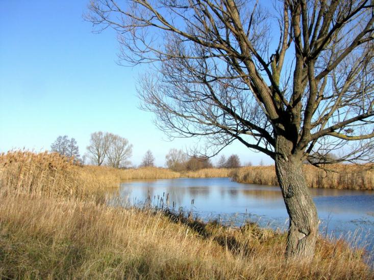 Білопілля з panoramio.com - Белополье