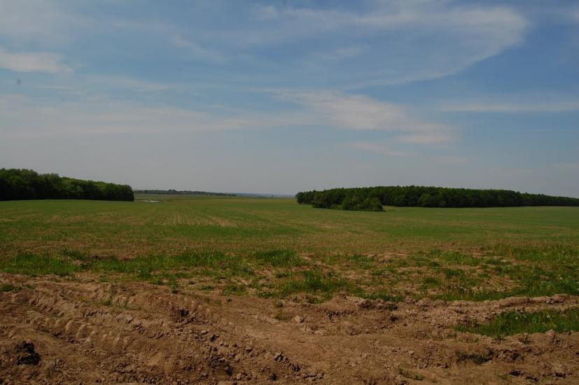 Бабин з panoramio.com - Бабин