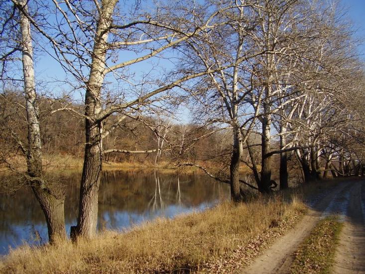 Стародубівка з panoramio.com - Стародубівка