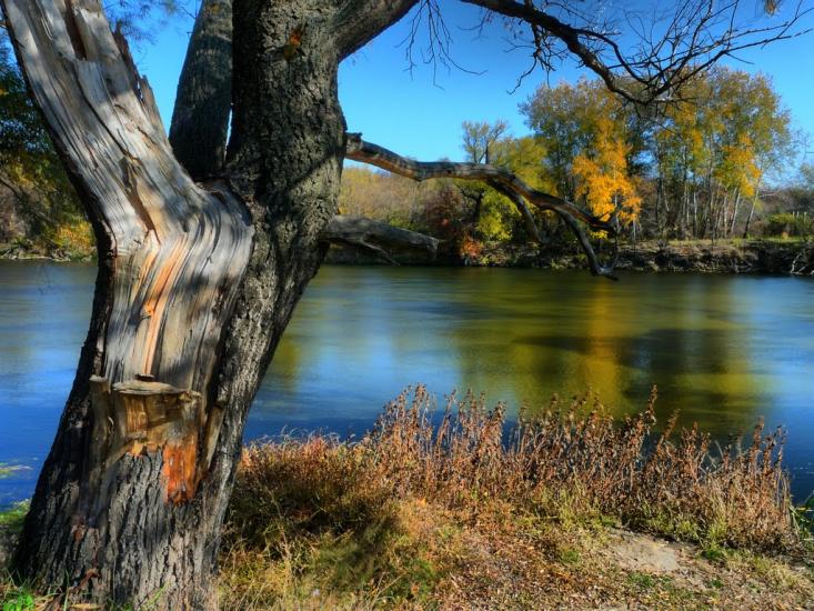 Слов'яносербськ з panoramio.com - Славяносербск