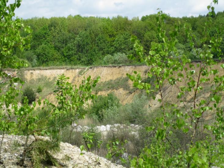 Малий Любінь з panoramio.com - Малий Любінь