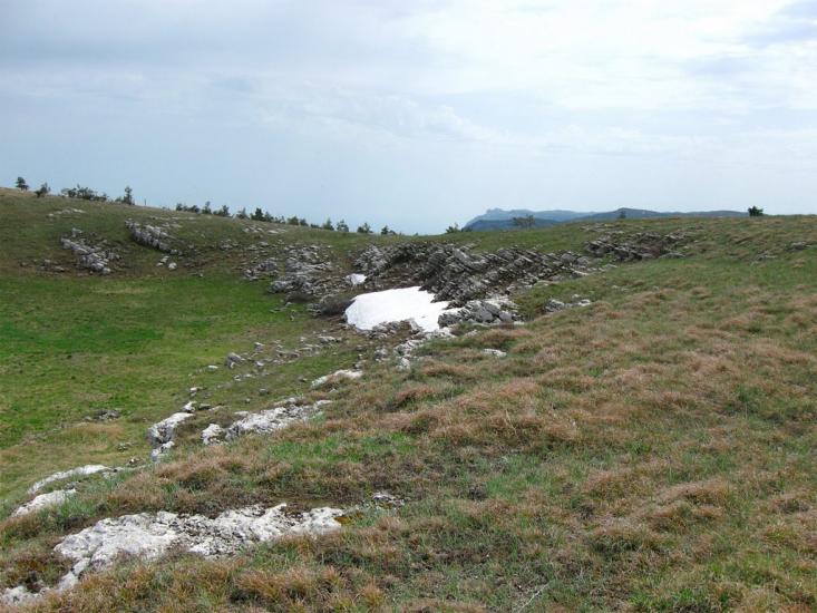 Відрадне з panoramio.com - Відрадне