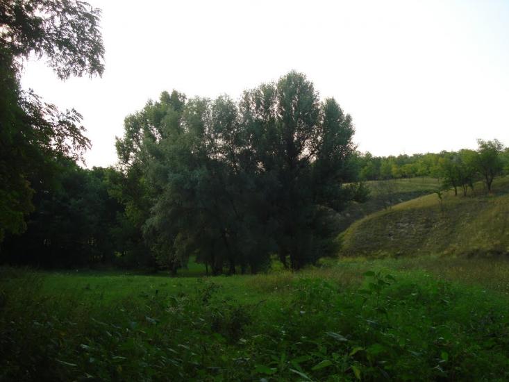 Горького з panoramio.com - Горького
