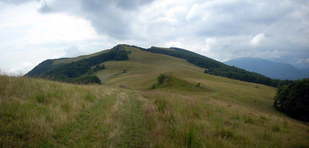 Гусний з panoramio.com - Гусний