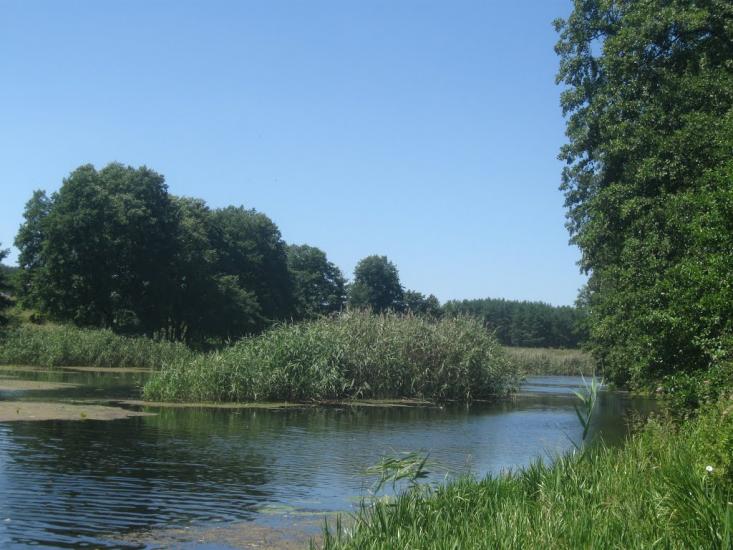 Мисайлівка з panoramio.com - Мисайлівка