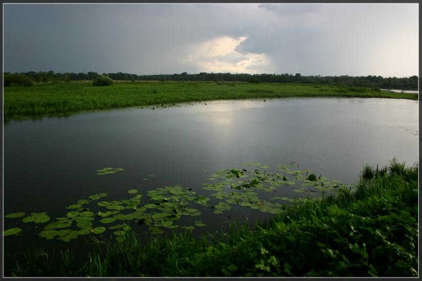 Вища Дубечня з panoramio.com - Вища Дубечня