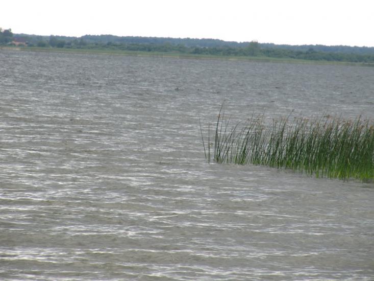 Пульмо з panoramio.com - Пульмо