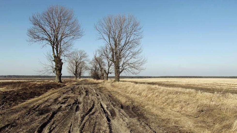 Гійче з panoramio.com - Гійче