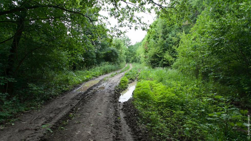 Руські Тишки з panoramio.com - Руські Тишки