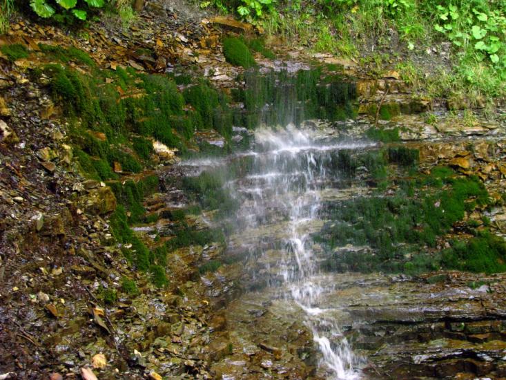 Букове з panoramio.com - Букове