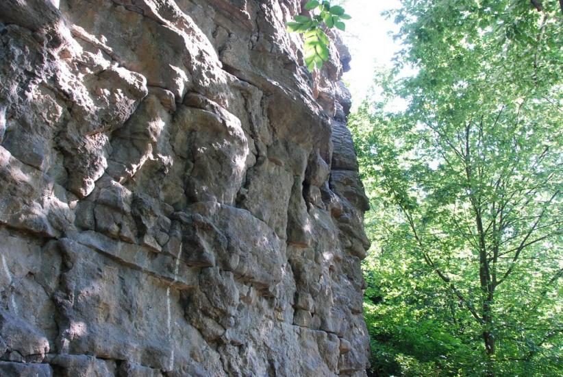 Тригір'я з panoramio.com - Тригорье