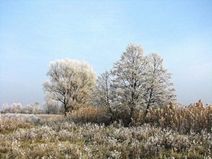 Білопілля з panoramio.com - Белополье