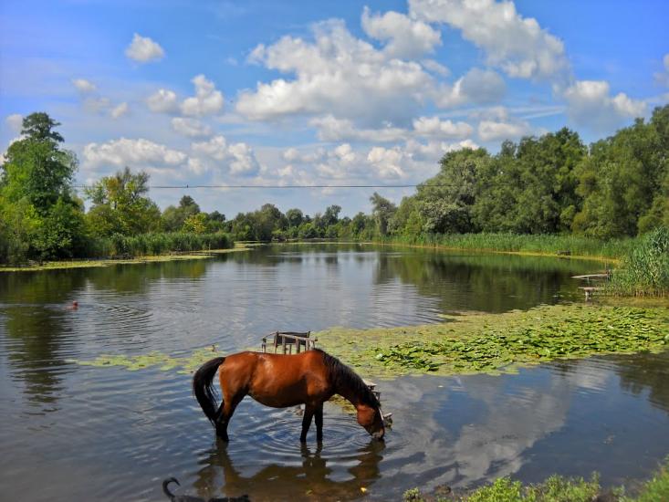 Короп з panoramio.com - Короп