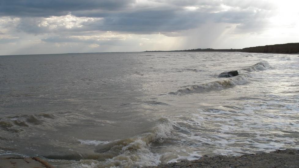 Степанівка Перша з panoramio.com - Степанівка Перша