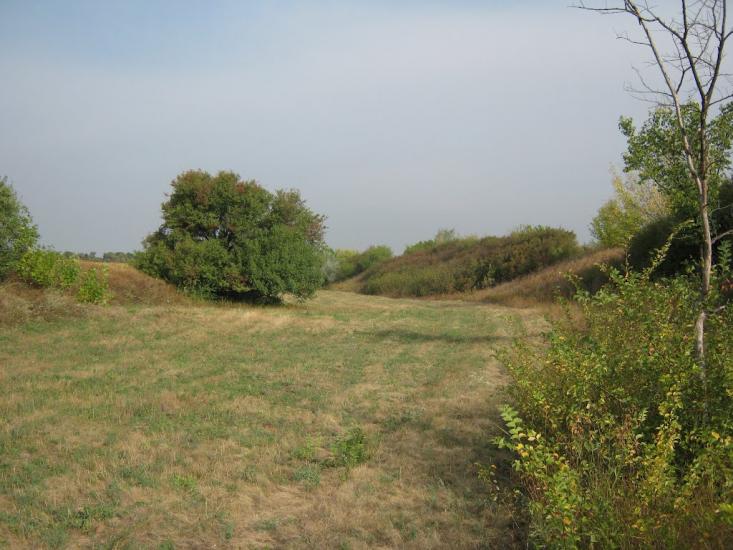Петровеньки з panoramio.com - Петровеньки