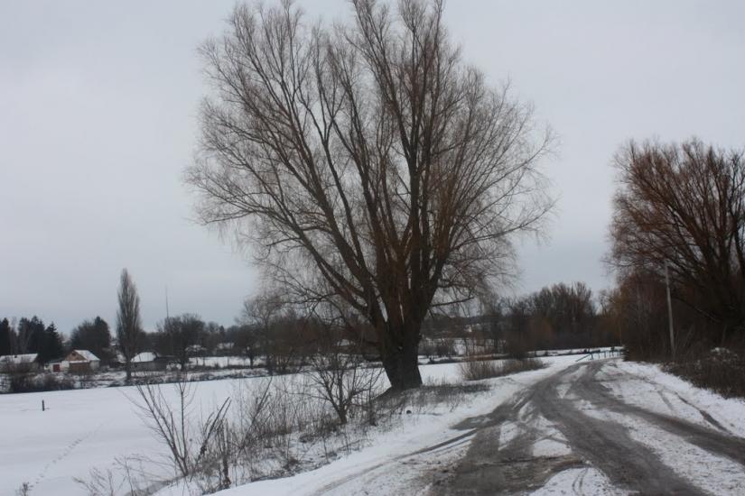 Чернявка з panoramio.com - Chernyavka