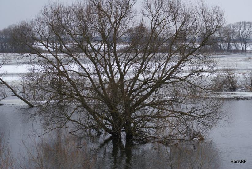 Литовеж з panoramio.com - Литовеж