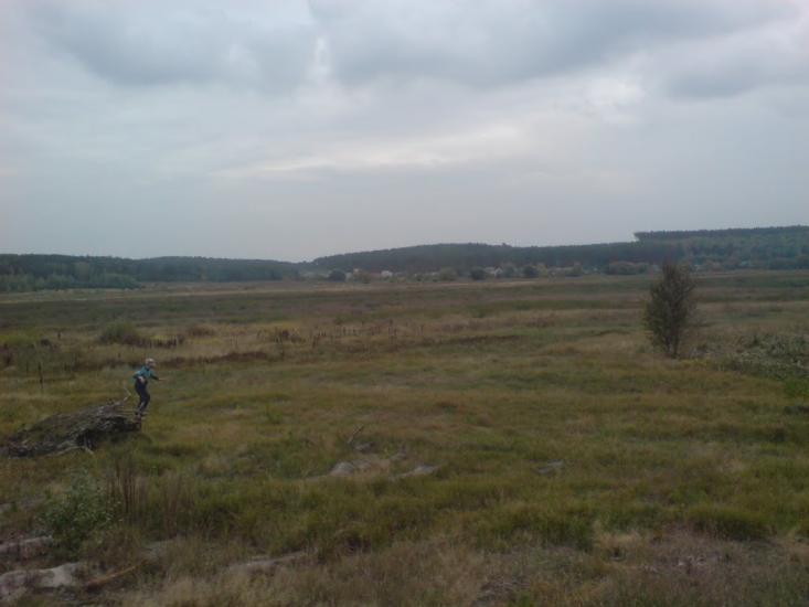 Чорногородка з panoramio.com - Черногородка