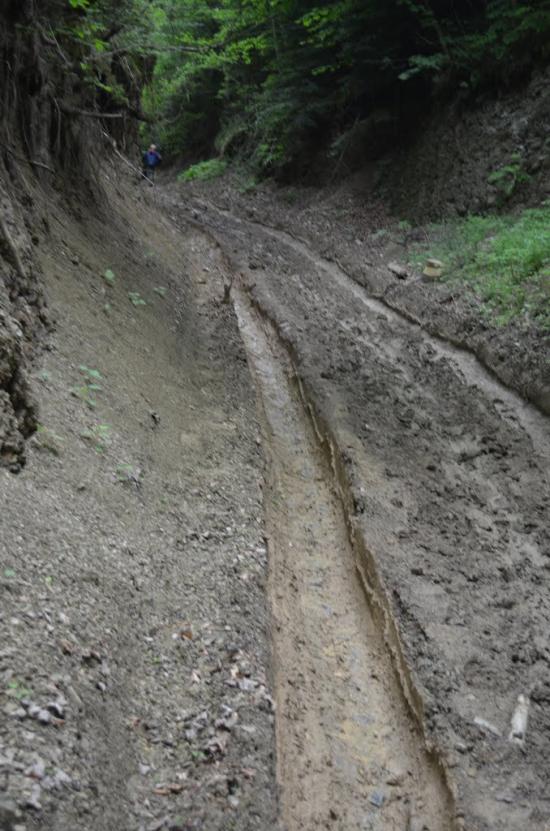 Крушельниця з panoramio.com - Крушельница