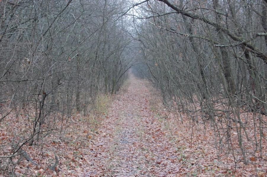 Володарське з panoramio.com - Володарське