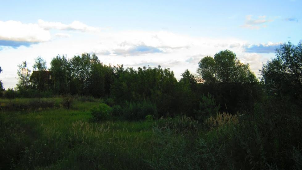 Велика Димерка з panoramio.com - Великая Дымерка
