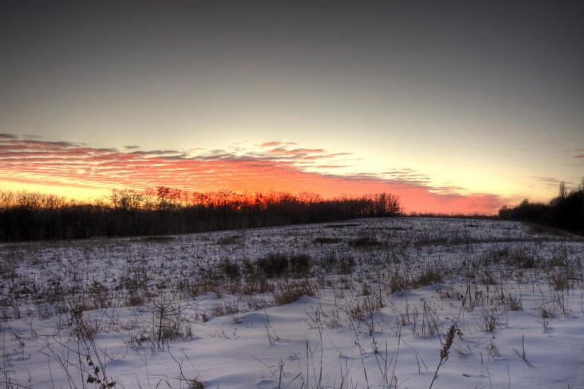 Пекарі з panoramio.com - Пекарі
